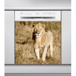 Sticker Lave Vaisselle lion, création Imprim'Déco, magasin vente en ligne stickers de décoration