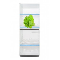 Sticker décor de frigo salade dans le frigo , exclusivité Imprim'Déco