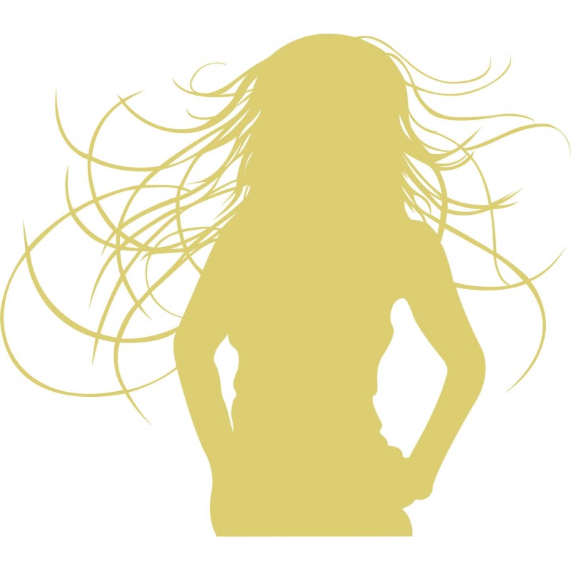Sticker mural silhouette cheveux au vent