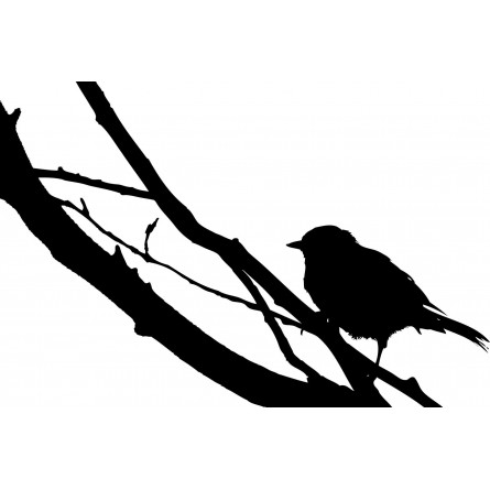 Sticker mural oiseaux sur la branche