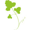 Sticker mural feuilles