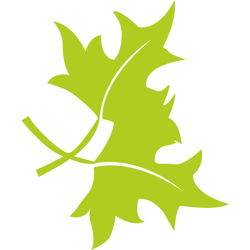 Sticker mural feuilles