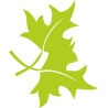 Sticker mural feuilles