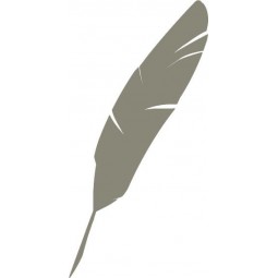 Sticker plume d'oiseau