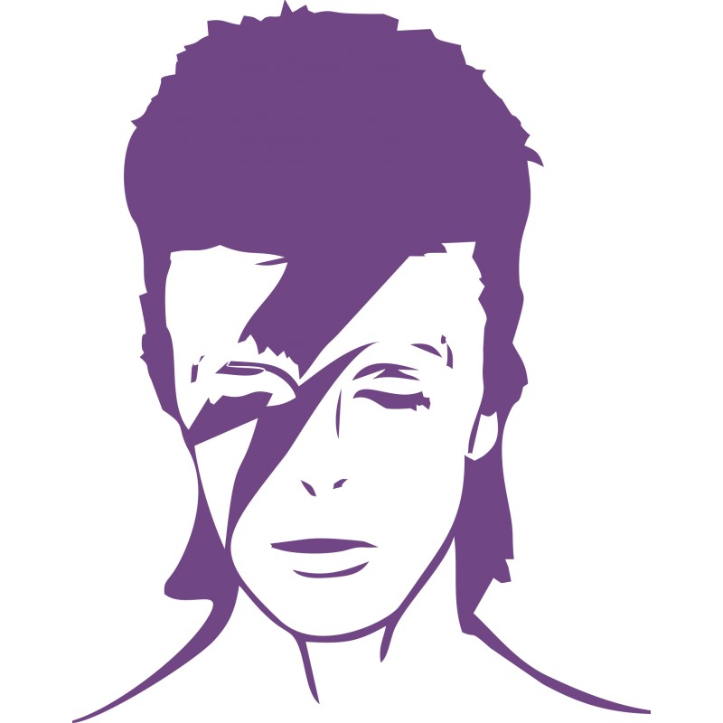 David Bowie "Ziggy Stardust" Car Window Sticker - Glam Rock Music Decal (White Vinyl)