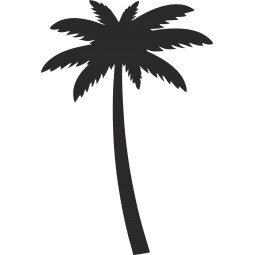 Sticker autocollant palmier 3
