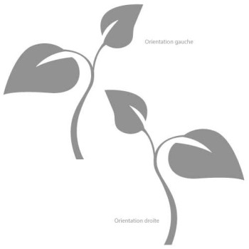 Décoration vitre feuilles