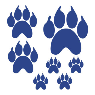 planche de stickers pattes d'ours