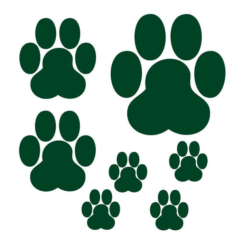 planche de stickers pattes de félin