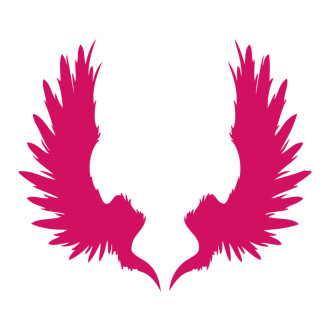 Sticker décoration ailes indiennes