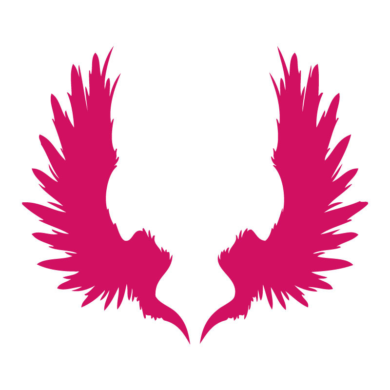 Sticker décoration ailes indiennes