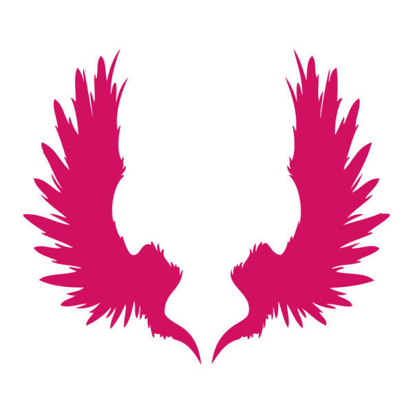 Sticker décoration ailes indiennes