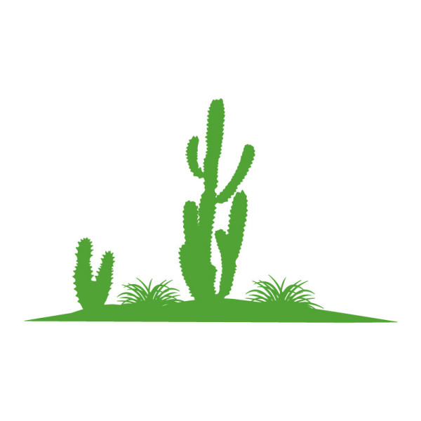 Déco adhésive paysage Mexique