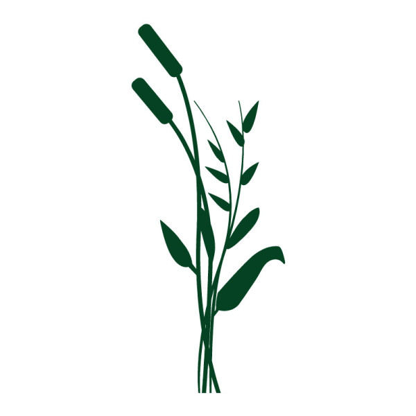 Sticker vinyle adhésif Roseaux