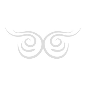 Sticker sur mesure vitre tatouage