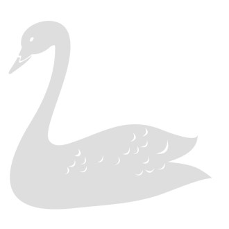 Décoration vitre le Cygne