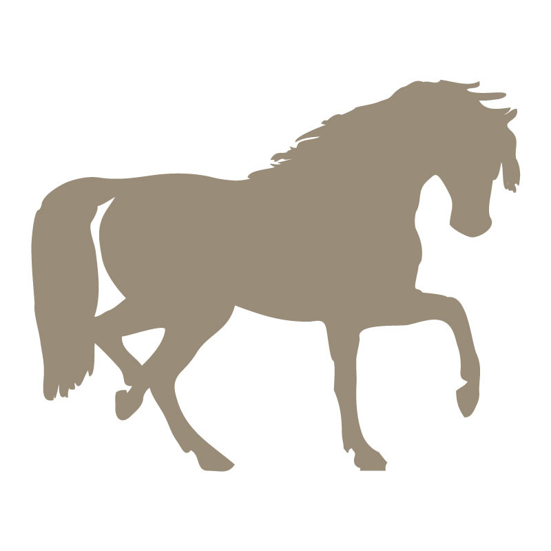 sticker mural cheval élégant