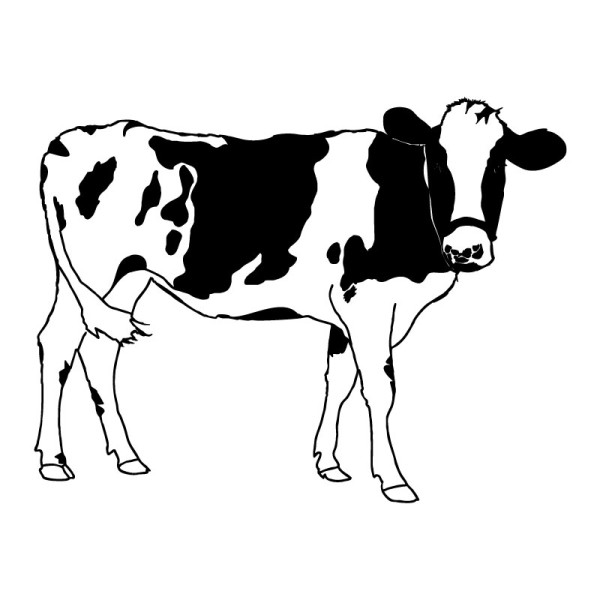 sticker vache normande