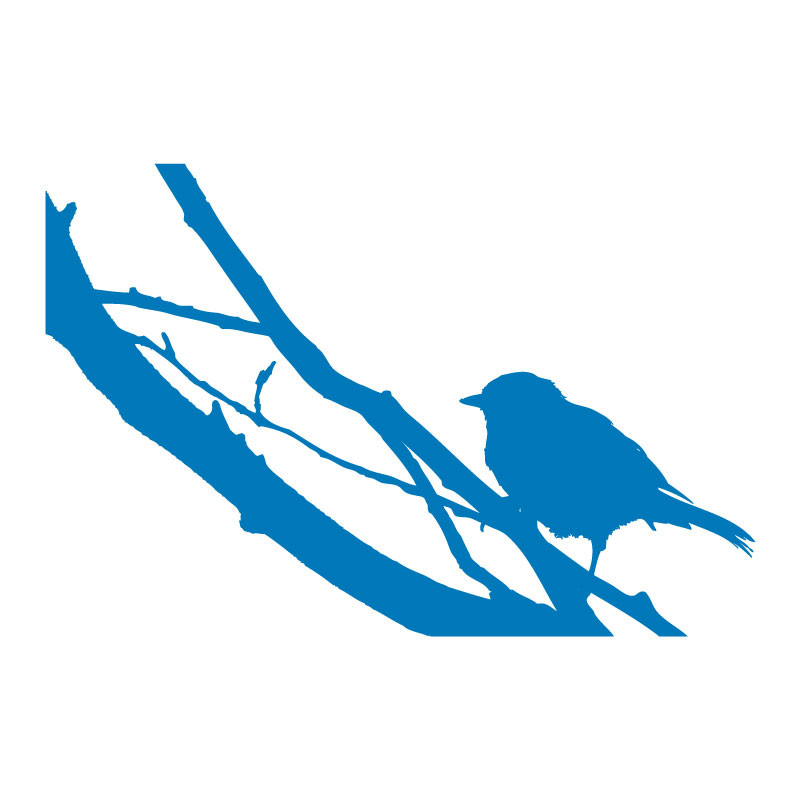Sticker mural oiseaux sur la branche